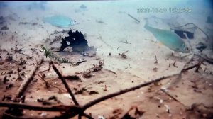 Летний лов плотвы  с лодки .Глубина 4м.