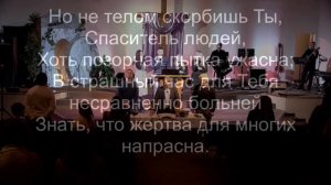 В багрянице стоишь Ты в терновом венце