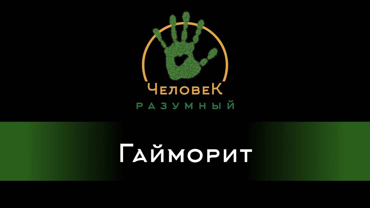 Гайморит (Скудов Алексей Юрьевич, 2018)