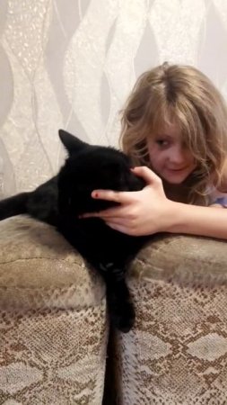 #кот #котики