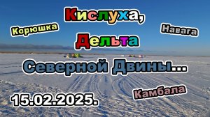 Корюшка, навага, камбала. Зимняя рыбалка в Дельте Северной Двины.15.02.2025. Мороз не помеха...