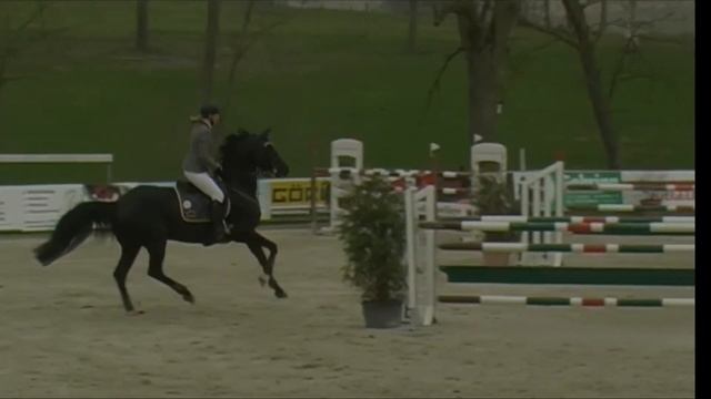 Diamant D'Elegance - Selina Köhl смотреть онлайн