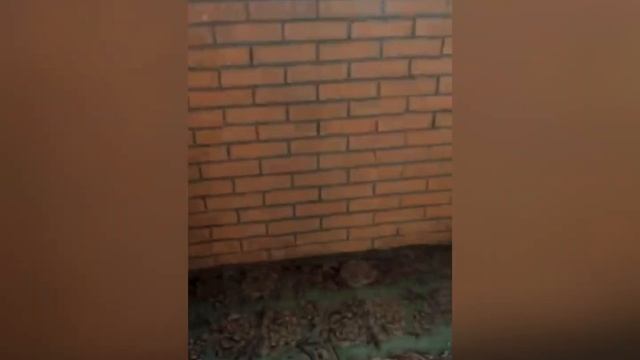 ЖК НЕКРАСОВСКИЙ