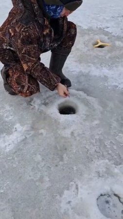 Поимки форели!!!