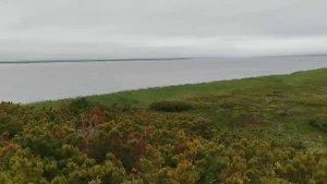 Набильский залив с берега