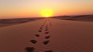 Забыты ли следы?