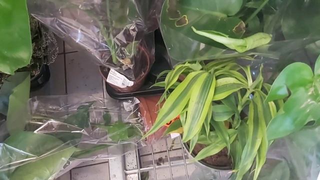 💚🐞NOWA DOSTAWA W BIEDRONCE🐞💚 смотреть онлайн