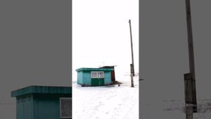 Зима в Тимофеевке. Душевное видео Тамбовской глубинки. #Деревня #Россия #Тамбовскаяобласть