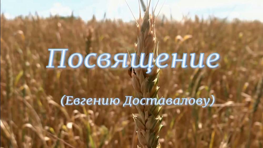 Посвящение Е.Доставалову. Стихи - Е.Минеева, читает - Е.Иванова-Воронцова, монтаж - Е.Доставалов