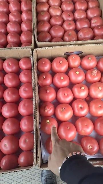 Фуд Сити смотреть онлайн