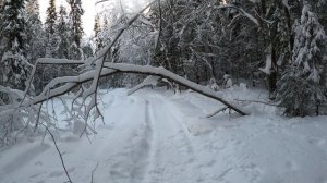 Чермоз №9 Дмитриевское -Желдовка