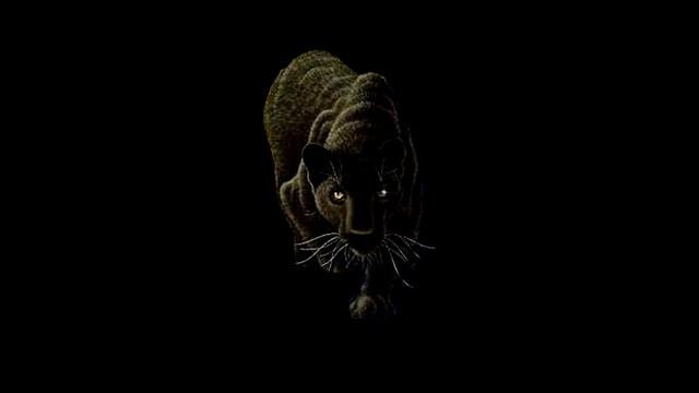 ЧЁРНАЯ ПАНТЕРА  3