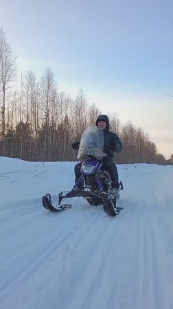Катаю на Динго!