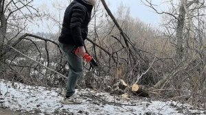 ДЕЛА САРАЙНЫЕ. ОПИЛИВАЮ ДЕРЕВЬЯ И КУСТЫ НОВОЙ ПИЛОЙ!