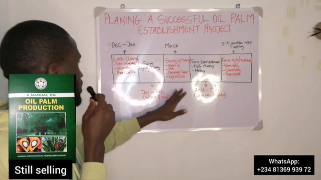 How To Plan A Successful Oil Palm Farm Establishment Project