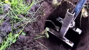 Установка кротоловки (www.triniti-tsc.ru)