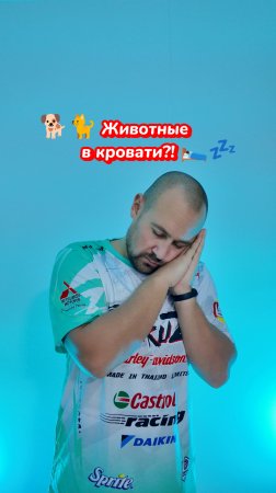 Стоит ли спать с домашними животными в одной постели?