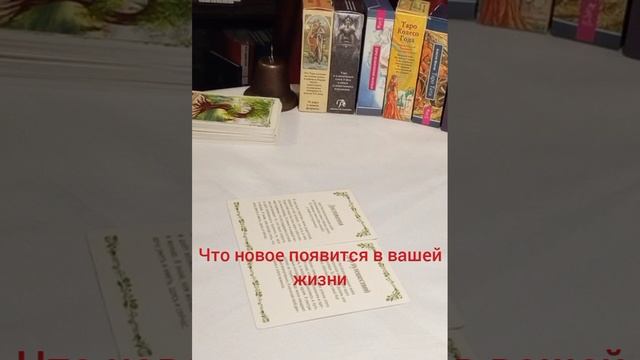Что нового появится в вашей жизни #новыецели #движениевперед #познаниемира #путешествия #впечатления