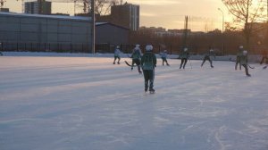 Сибскана 2009 - Сибскана 2010 4:0 15.02.2025