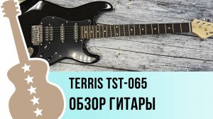 TERRIS TST-065 - обзор гитары