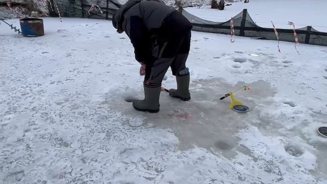 16.02.25 г. РК Волна