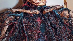 5 ШОКИРУЮЩИХ НАХОДОК В ЗАБРОШЕННЫХ ДОМАХ