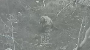 Наши дроноводы пощадили солдатика ВСУ