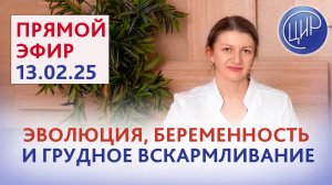 Теория эволюции, иммунология репродукции, беременность и грудное вскармливание. С. Н. Дементьева.