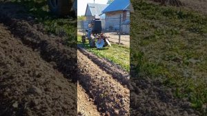 Самодельные дисковые окучники самодельный адаптер к мотоблоку нарезаем гряды под картофель