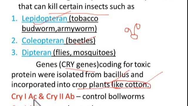 NEET Previous Year Questions//Biotechnology- Bt crops// Practise series IV (தமிழ் மொழியில்)