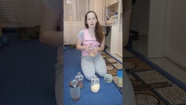 Самодельный корм для хомячков 1 часть