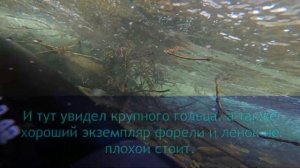 Подводная охота на Горной Реке. Добыл Ленка и Гольца.