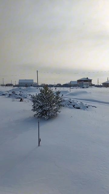 воскресные новости 16.02.2025 смотреть онлайн