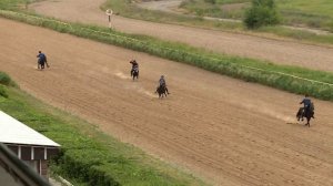 Скачка на пони 02.06.19 Алматинский ипподром