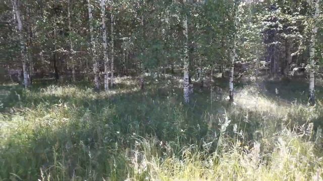 Лета в ленту! смотреть онлайн