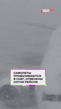 Пони и самолеты тонут в снегу в Японии. Отменили сотни рейсов, остров отрезан от мира