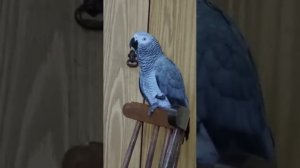 Идёшь к папе? Иди скорее моя хорошая!