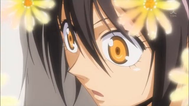 Мои чувства смотреть онлайн