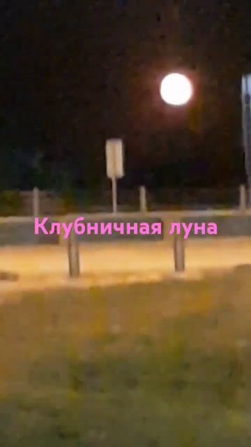 #Клубничная луна #луна #клубника