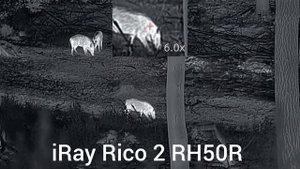 iRay Rico 2 RH50R откриване и разпознаване на дива свиня с автоматична корекция и далекомер