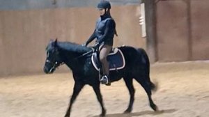 Вика и Наоми. Тренировка с комментариями. #horse #equestrian #лошади #pony