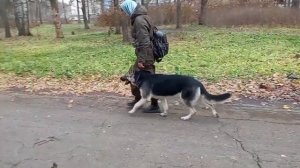 РКФ или СКОР? Часть 2.