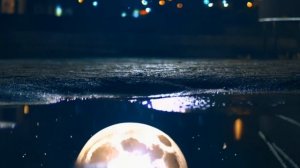 Кот: авторская песня.  Музыка для отдыха и настроения. Лёгкая красивая мелодия