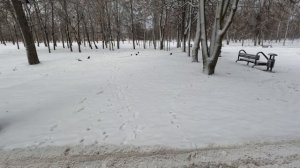 Прогулка в субботу Белгород, Парк Гагарина.