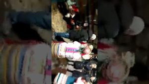 Частушки в Лианозовском парке 04 ноября 2017 года
