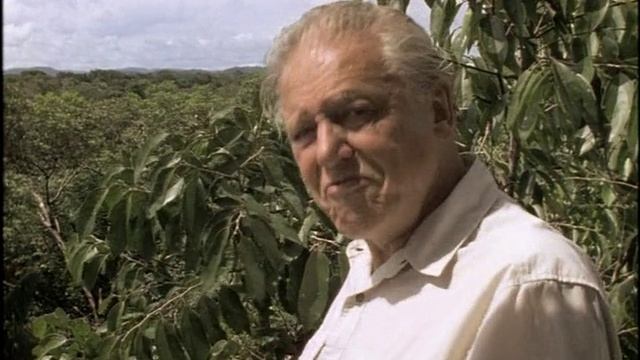 BBC: Жизнь птиц 6 серия «Сигналы и песни» (документальный сериал, 1998)