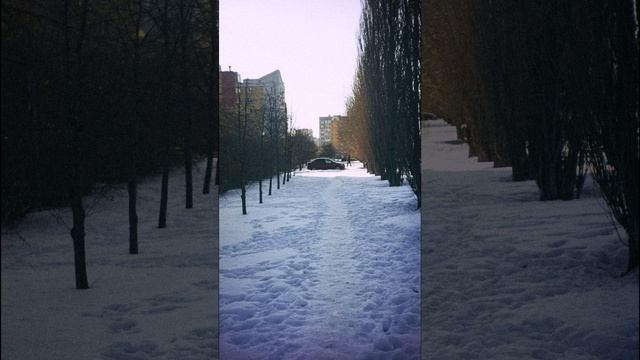 Sony NEX-5 + самодельный объектив из мыльницы