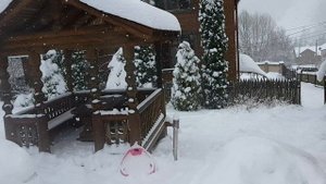 Вынужденный отдых в Карпатах