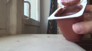 Творожные сырки и шоколадный пудинг