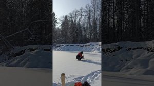 Большое путешествие. В поисках рыбы!